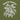 VIM_5136478241077