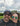 Dave & Lori Nicosia from Choppy Poppy's Plants & Propagations