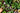 Houseplant Propagation - Grow your Indoor Jungle