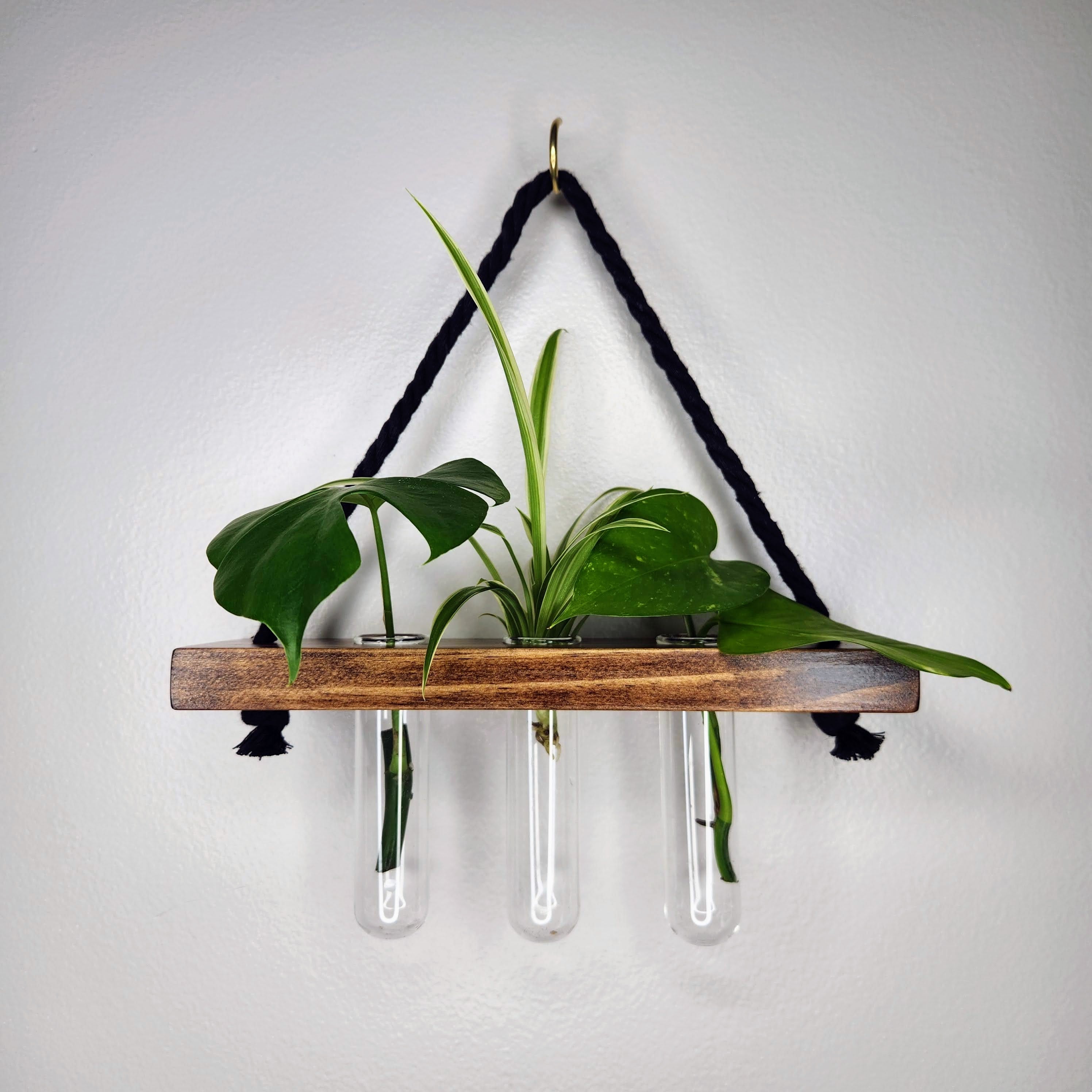 test tube hanging planter Dark 3 Tube Hanging Propagation Station for Houseplants