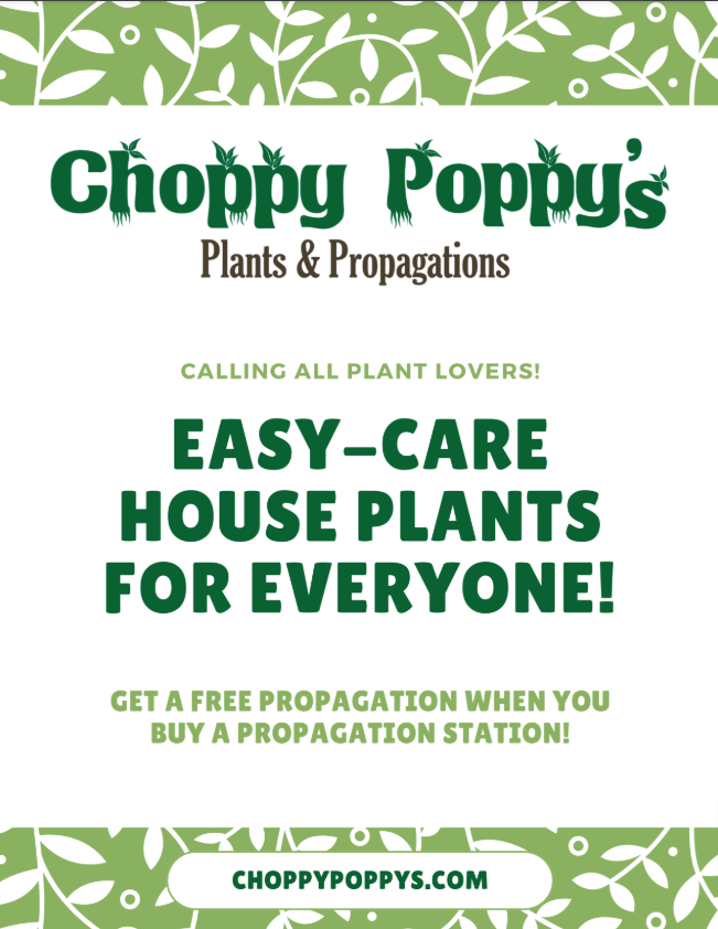 Choppy Poppy's Plants & Propagations